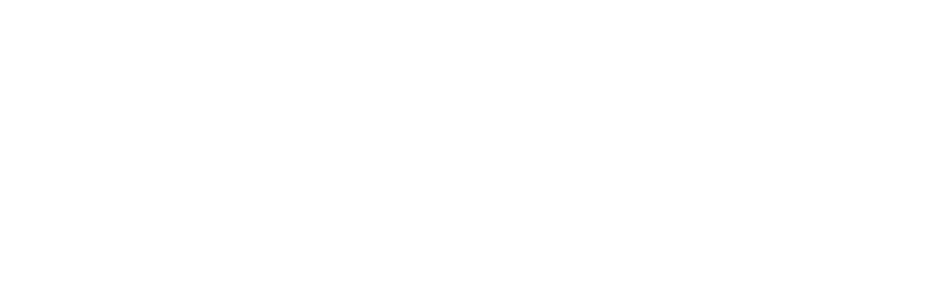 BisnisTrip