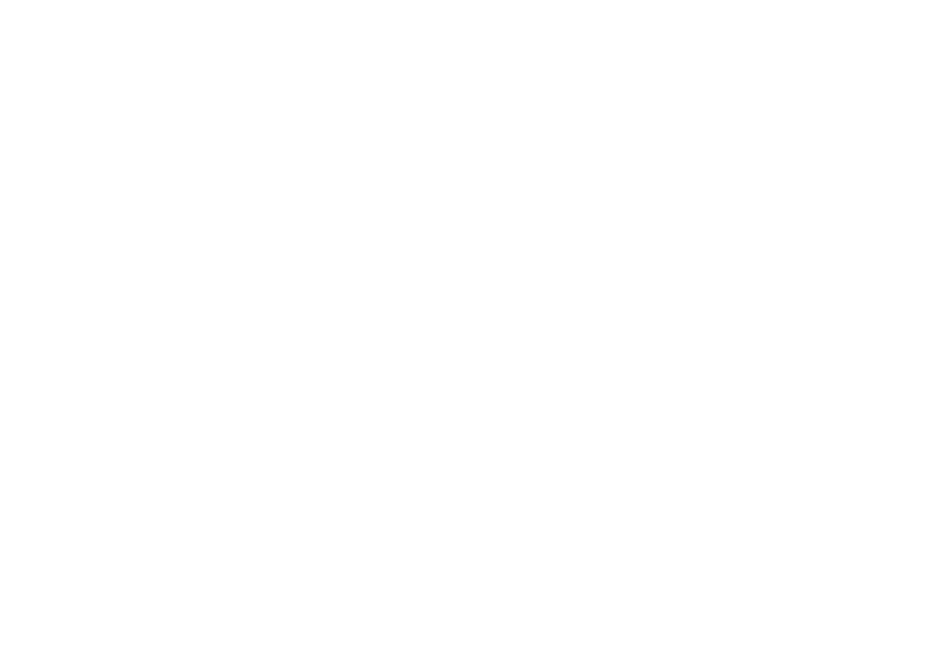 bisnistrip footer logo